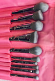 PINK IRIDESCENT MAKEUP BRUSH SET